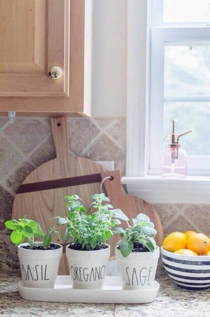 Herb garden as a kitchen counter decor